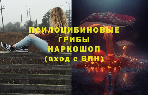 ALPHA PVP Нязепетровск