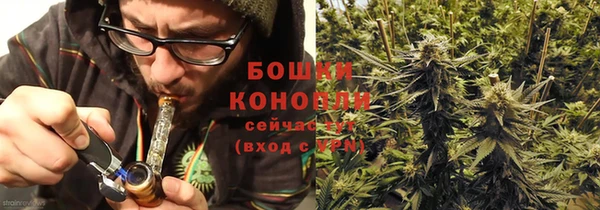 дживик Нягань