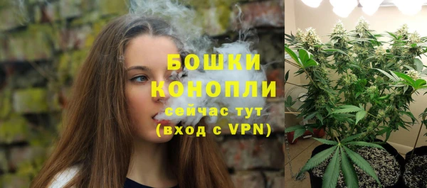 СК Няндома
