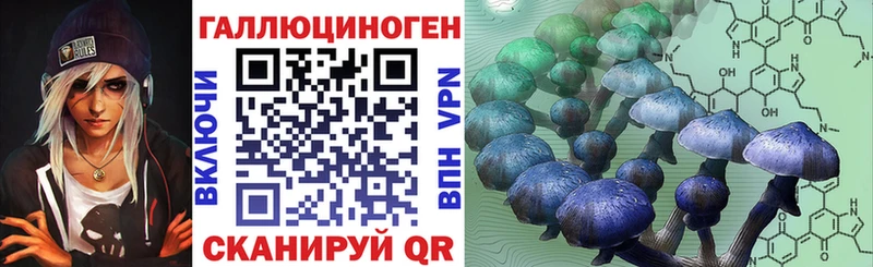 Галлюциногенные грибы Psilocybine cubensis Екатеринбург