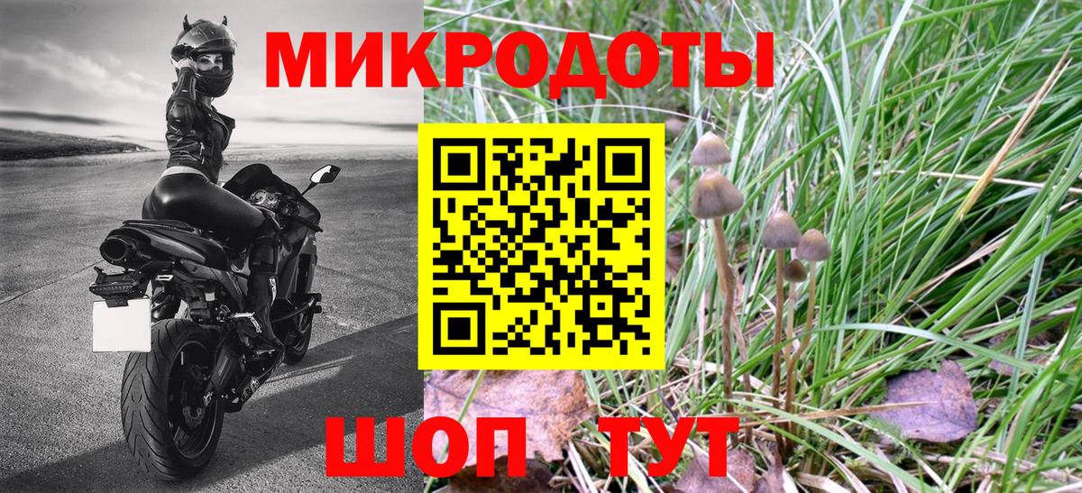 Екатеринбург  Галлюциногенные грибы Psilocybe  Вход с VPN 